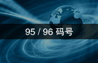 95/96码号